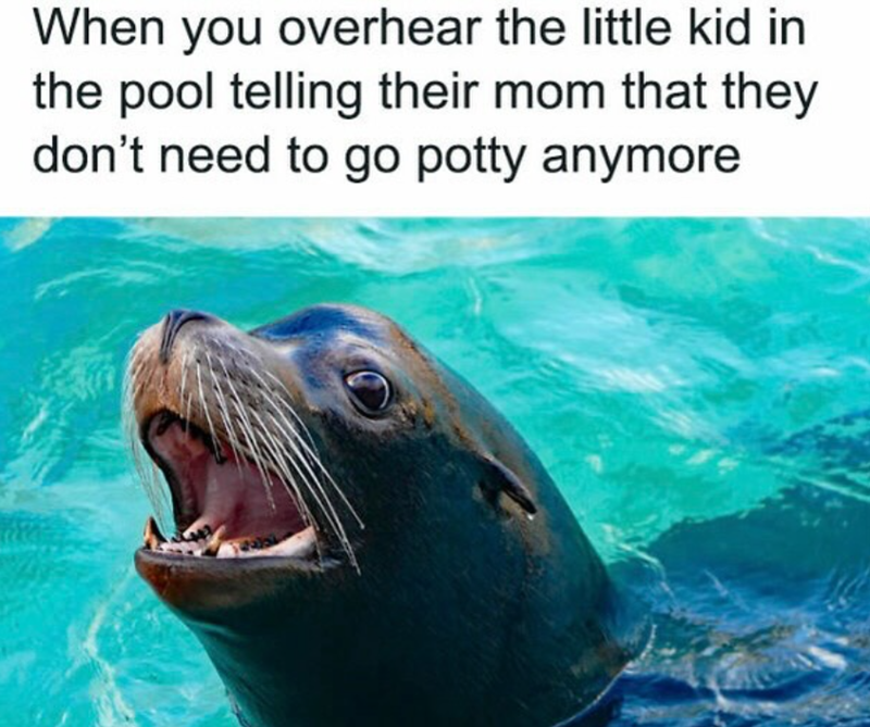 When you overhear the little kid in the pool telling their mom that they don't need to go potty anymore