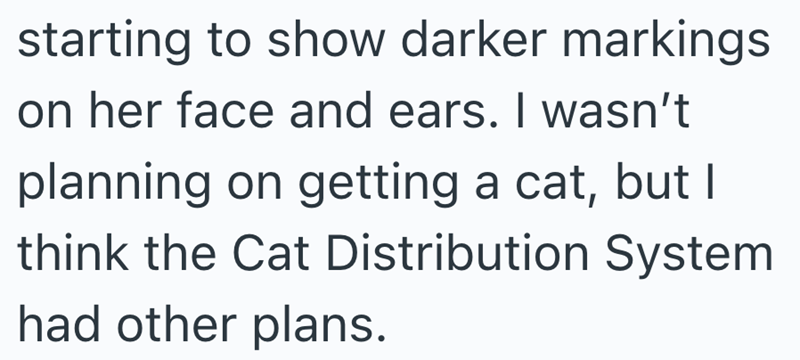 starting to show darker markings on her face and ears. I wasn't planning on getting a cat, but I think the Cat Distribution System had other plans.