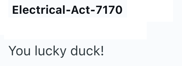 Electrical-Act-7170 You lucky duck!