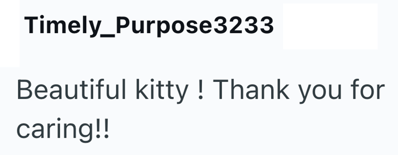 Timely_Purpose3233 Beautiful kitty! Thank you for caring!!