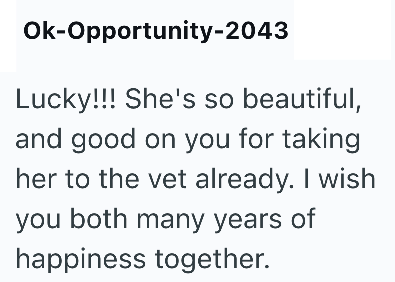 Ok-Opportunity-2043 Lucky!!! She's so beautiful, and good on you for taking her to the vet already. I wish you both many years of happiness together.