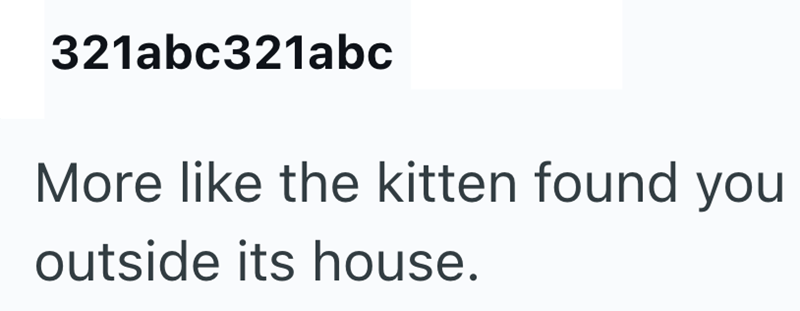 321abc321abc More like the kitten found you outside its house.