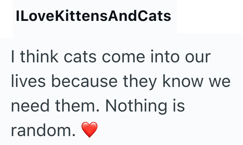 ILoveKittensAndCats I think cats come into our lives because they know we need them. Nothing is random.