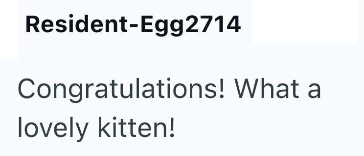 Resident-Egg2714 Congratulations! What a lovely kitten!