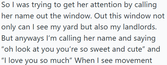 So I was trying to get her attention by calling her name out the window. Out this window not only can I see my yard but also my landlords. But anyways I'm calling her name and saying "oh look at you you're so sweet and cute" and "I love you so much" When I see movement