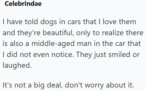 Celebrindae I have told dogs in cars that I love them and they're beautiful, only to realize there is also a middle-aged man in the car that I did not even notice. They just smiled or laughed. It's not a big deal, don't worry about it.