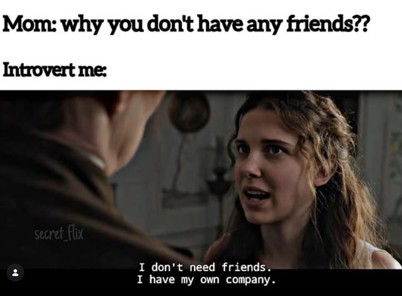 Mom: why you don't have any friends?? Introvert me: secret flix I don't need friends. I have my own company.