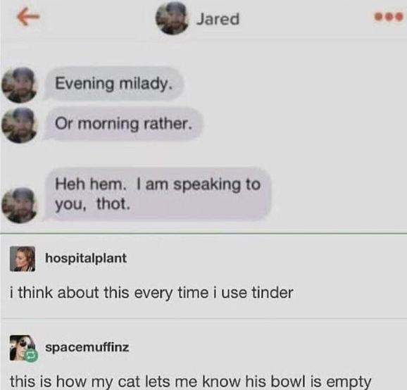 ↑ Jared Evening milady. Or morning rather. Heh hem. I am speaking to you, thot. hospitalplant i think about this every time i use tinder spacemuffinz this is how my cat lets me know his bowl is empty
