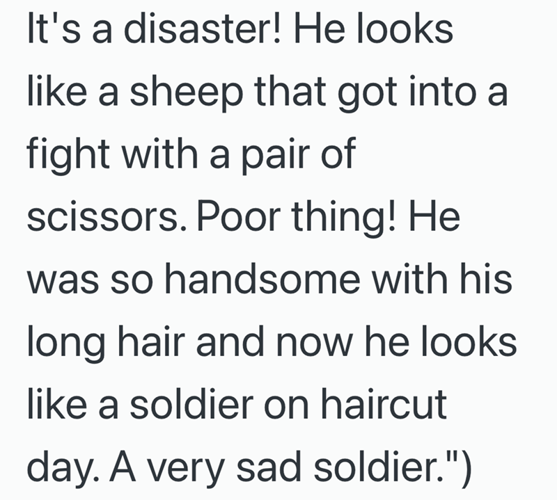 It's a disaster! He looks like a sheep that got into a fight with a pair of scissors. Poor thing! He was so handsome with his long hair and now he looks like a soldier on haircut day. A very sad soldier.")