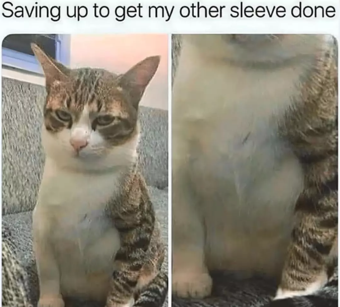 Saving up to get my other sleeve done
