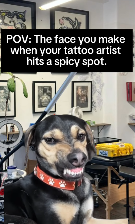 POV: The face you make when your tattoo artist hits a spicy spot. 鳳