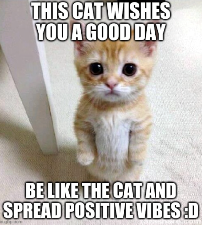THIS CAT WISHES YOU A GOOD DAY BE LIKE THE CAT AND SPREAD POSITIVE VIBES :D imgflip.com