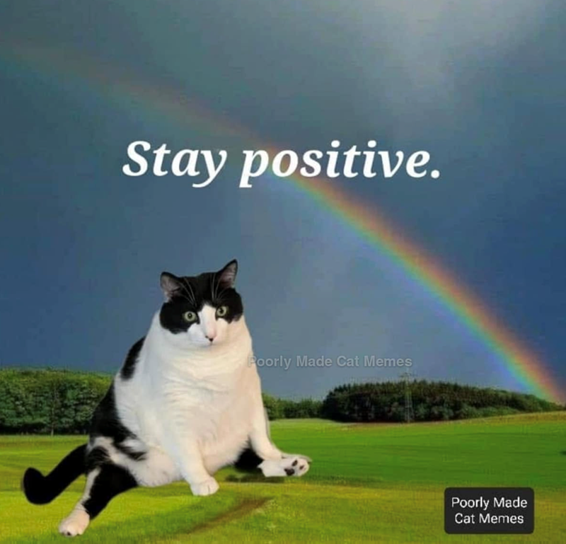 Stay positive. Poorly Made Cat Memes Poorly Made Cat Memes