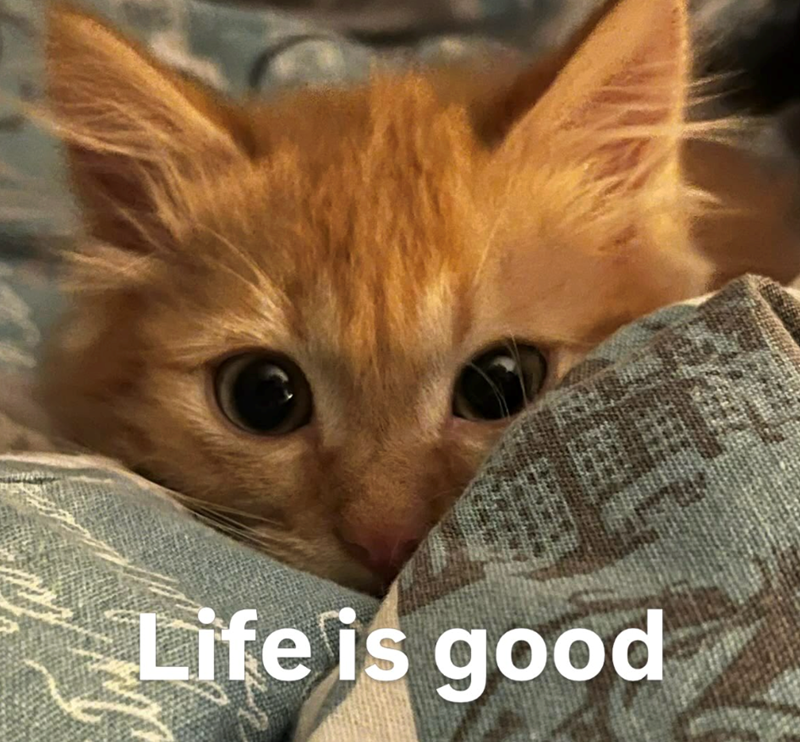Life is good