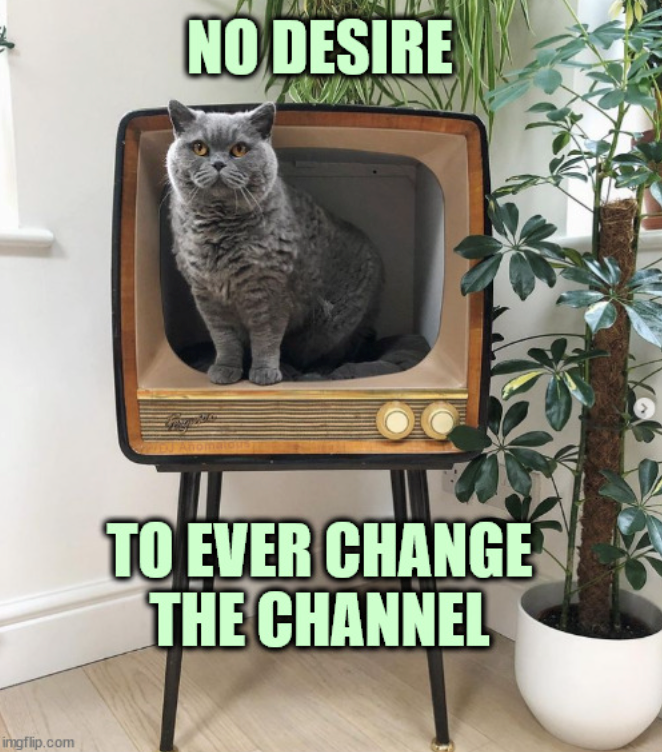 imgflip.com NO DESIRE TO EVER CHANGE THE CHANNEL