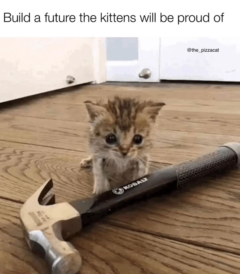 AL Build a future the kittens will be proud of KOBALT @the_pizzacat