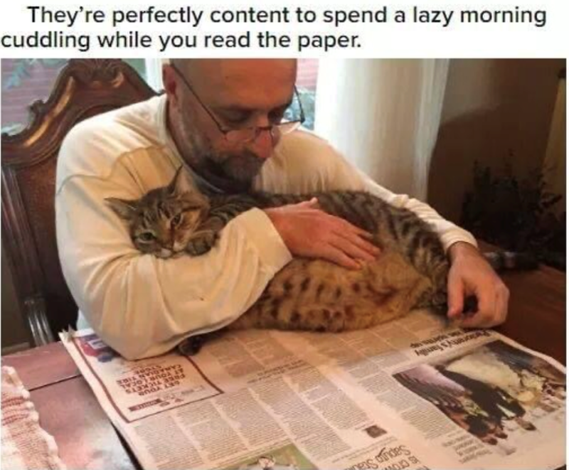 Putorsny's family S CTOV Saputo State They're perfectly content to spend a lazy morning cuddling while you read the paper. CANADIAN TIRE AT YOUR LOCAL FREE TICKETS PUDLO