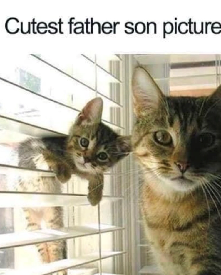 Cutest father son picture