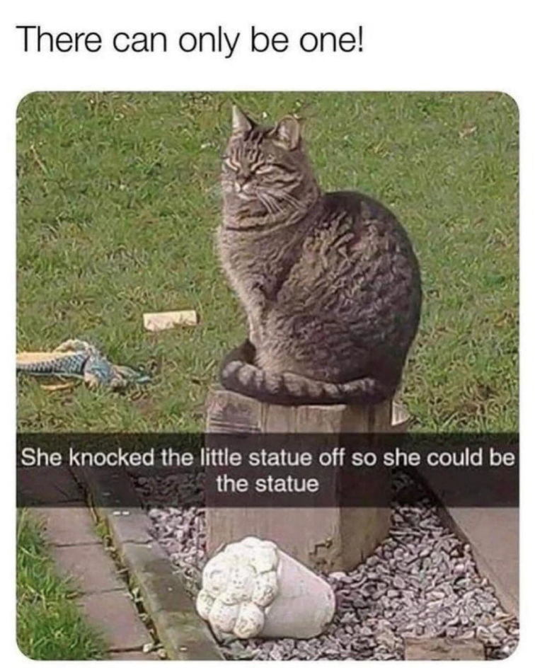 There can only be one! She knocked the little statue off so she could be the statue