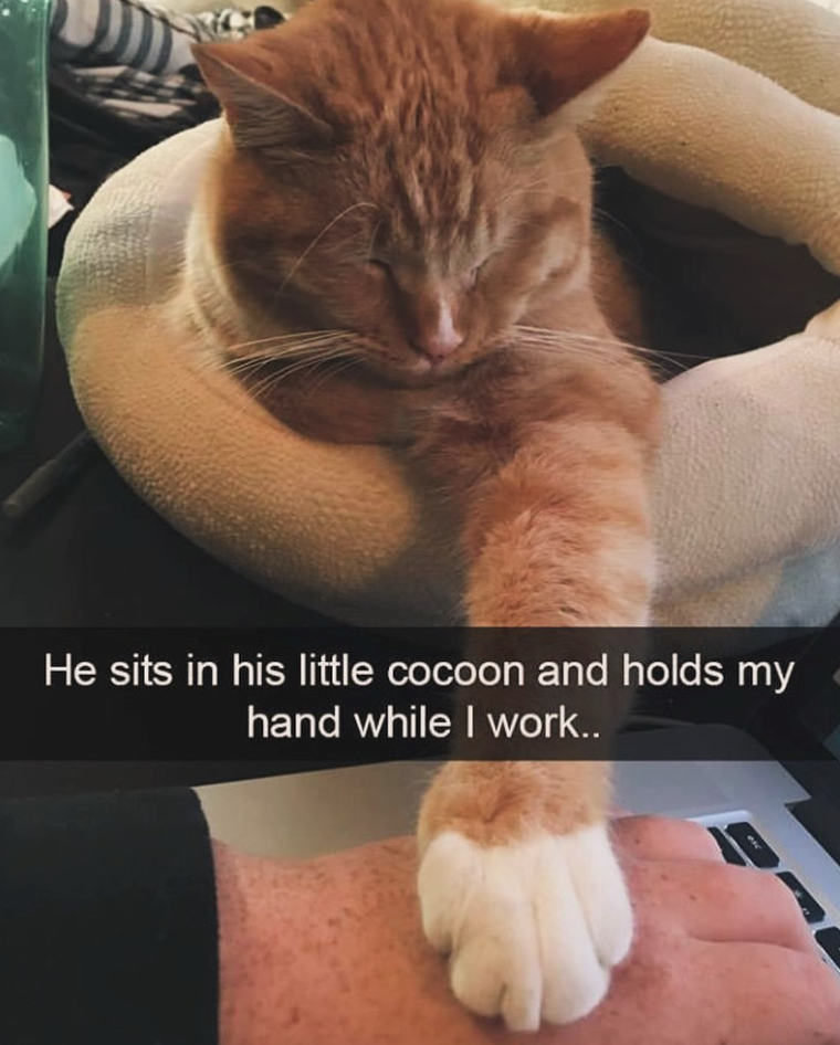 He sits in his little cocoon and holds my hand while I work..