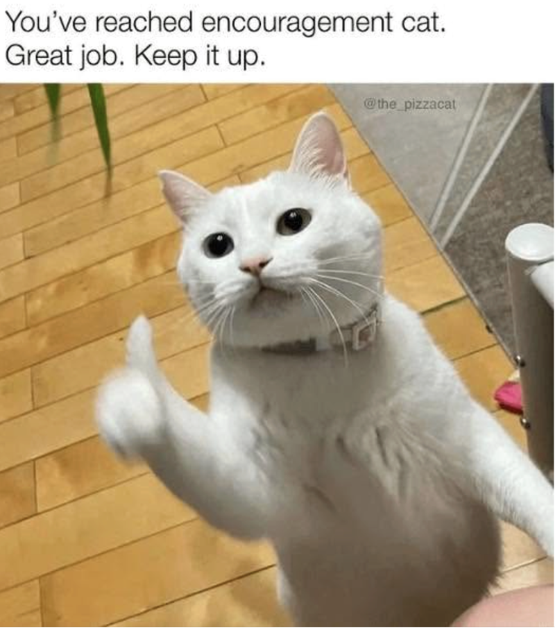 You've reached encouragement cat. Great job. Keep it up. @the_pizzacat
