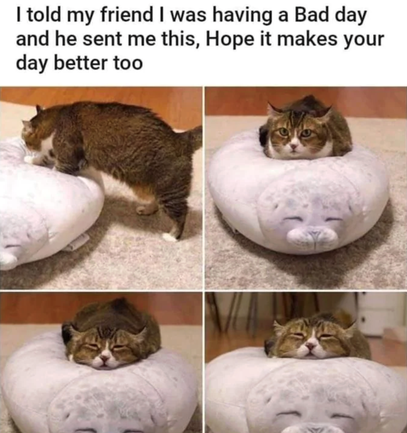 I told my friend I was having a Bad day and he sent me this, Hope it makes your day better too