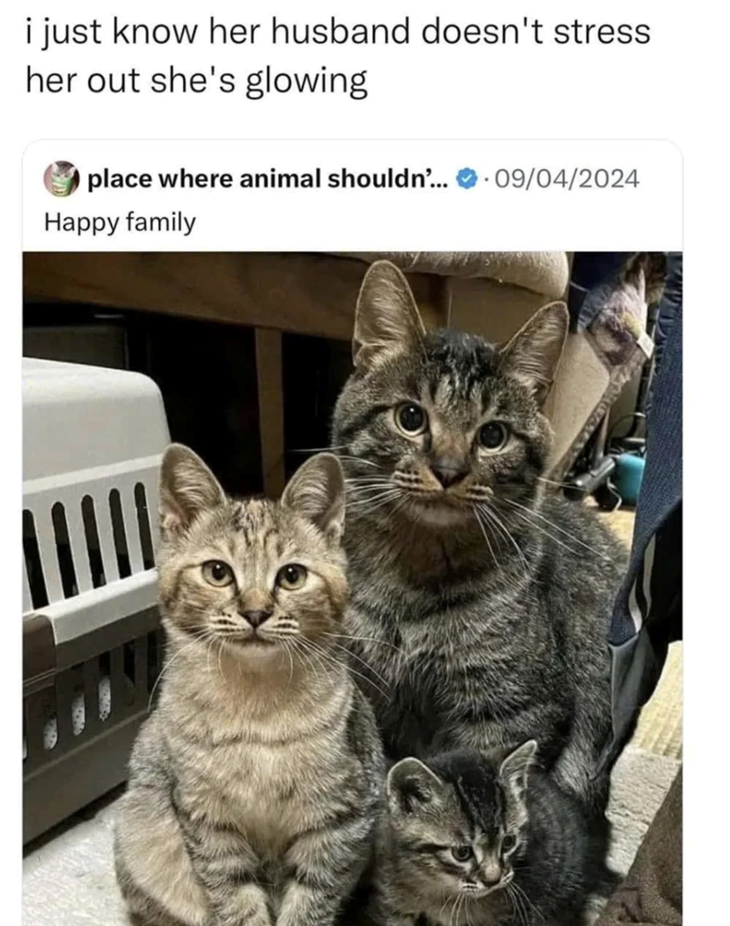 i just know her husband doesn't stress her out she's glowing place where animal shouldn'... 09/04/2024 Happy family