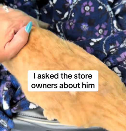 I asked the store owners about him