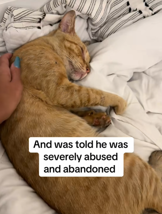 And was told he was severely abused and abandoned