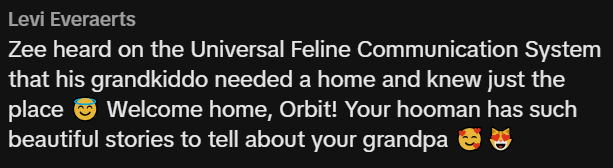 Levi Everaerts Zee heard on the Universal Feline Communication System that his grandkiddo needed a home and knew just the place Welcome home, Orbit! Your hooman has such beautiful stories to tell about your grandpa