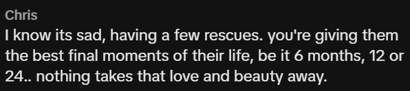 Chris I know its sad, having a few rescues. you're giving them the best final moments of their life, be it 6 months, 12 or 24.. nothing takes that love and beauty away.