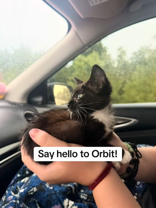 Say hello to Orbit!
