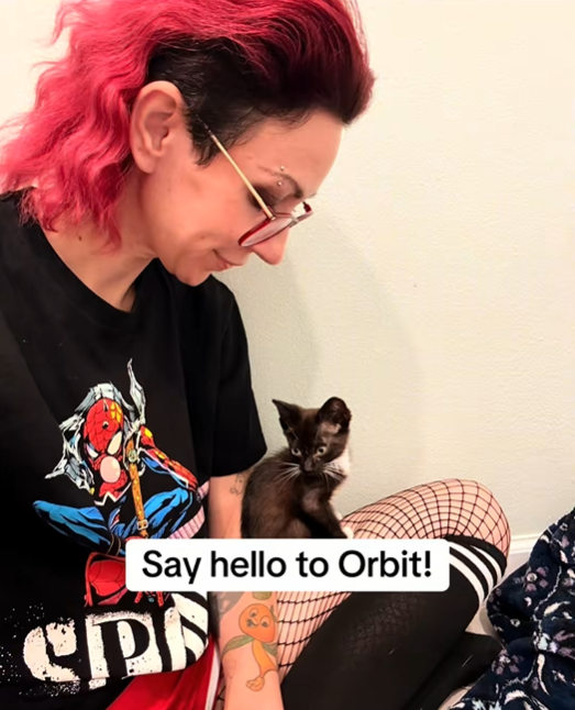 Say hello to Orbit! SPA