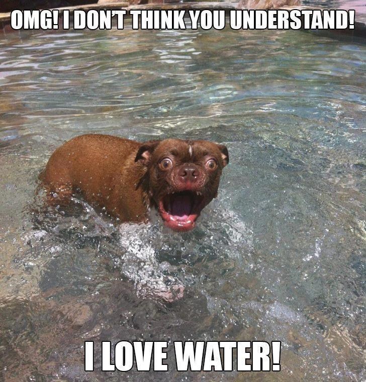 OMG! I DON'T THINK YOU UNDERSTAND! I LOVE WATER!