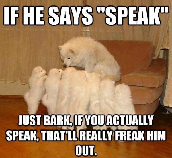 IF HE SAYS "SPEAK" JUST BARK, IF YOU ACTUALLY SPEAK, THAT'LL REALLY FREAK HIM OUT.