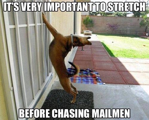 IT'S VERY IMPORTANT TO STRETCH BEFORE CHASING MAILMEN