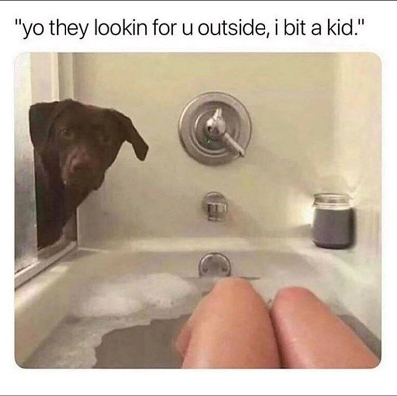 "yo they lookin for u outside, i bit a kid."