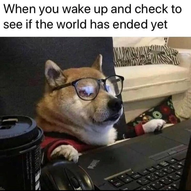 When you wake up and check to see if the world has ended yet