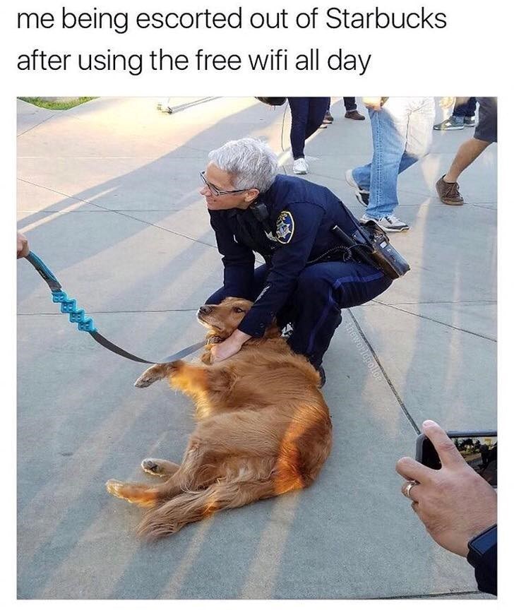 me being escorted out of Starbucks after using the free wifi all day