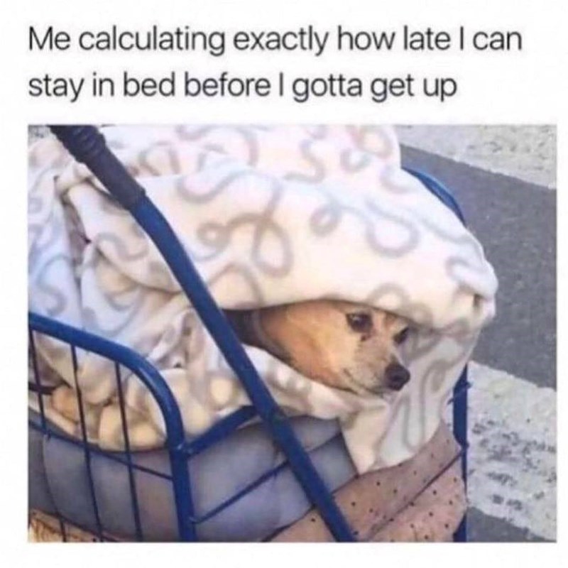 Me calculating exactly how late I can stay in bed before I gotta get up
