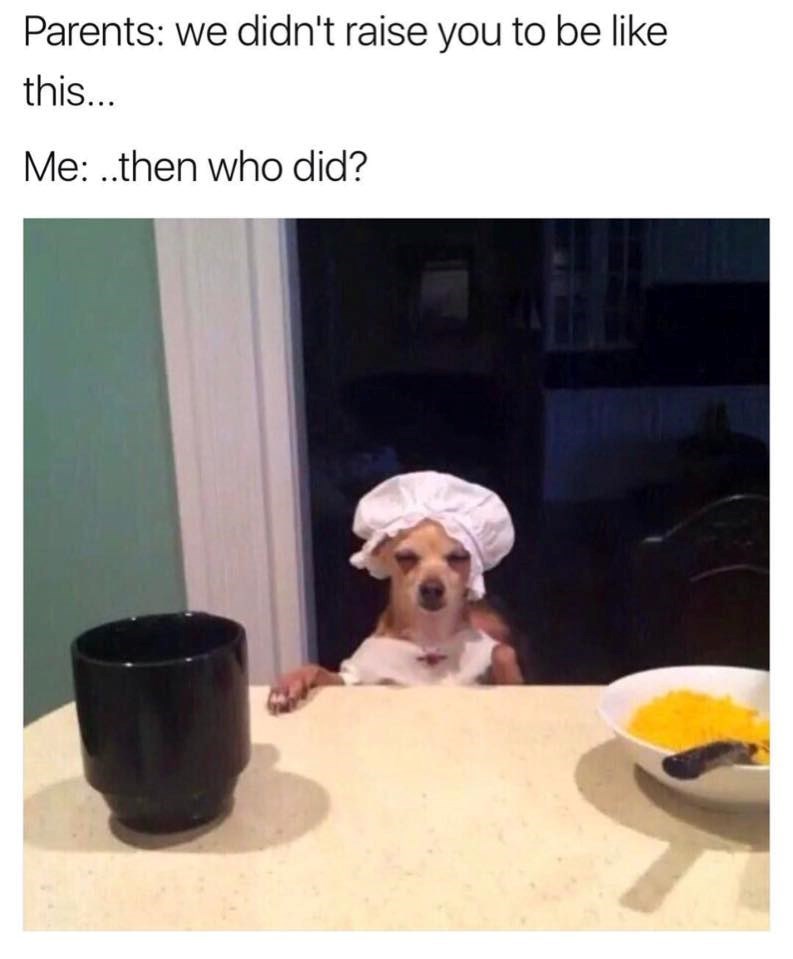 Parents: we didn't raise you to be like this... Me: ..then who did?