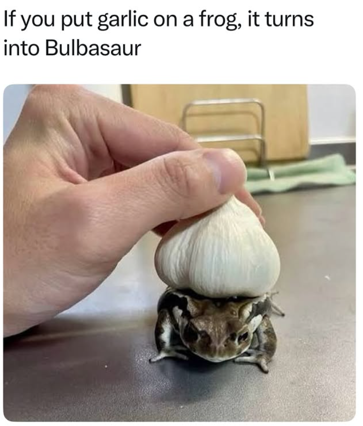 If you put garlic on a frog, it turns into Bulbasaur