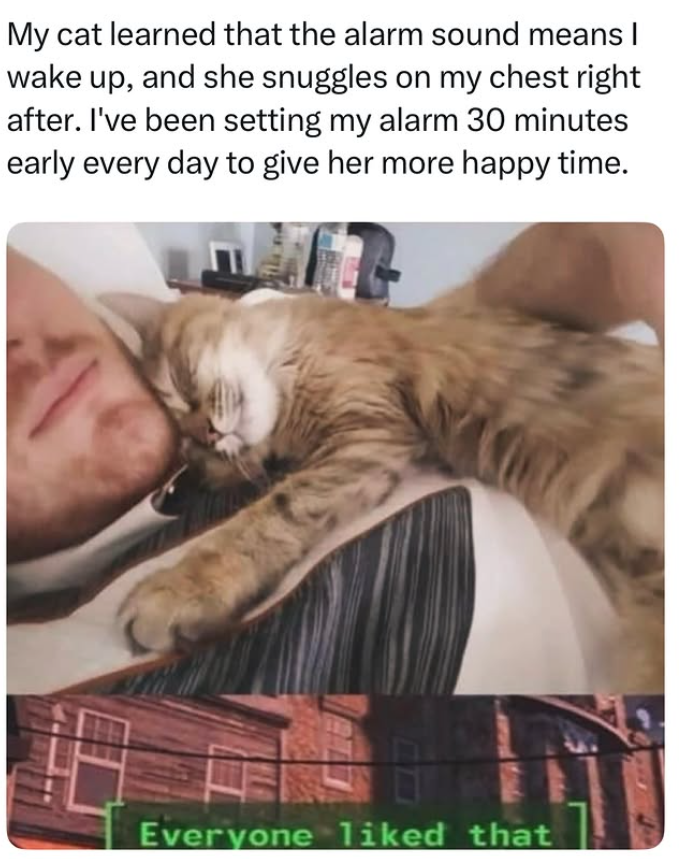 My cat learned that the alarm sound means I wake up, and she snuggles on my chest right after. I've been setting my alarm 30 minutes early every day to give her more happy time. Everyone liked that
