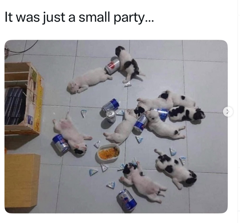 It was just a small party...
