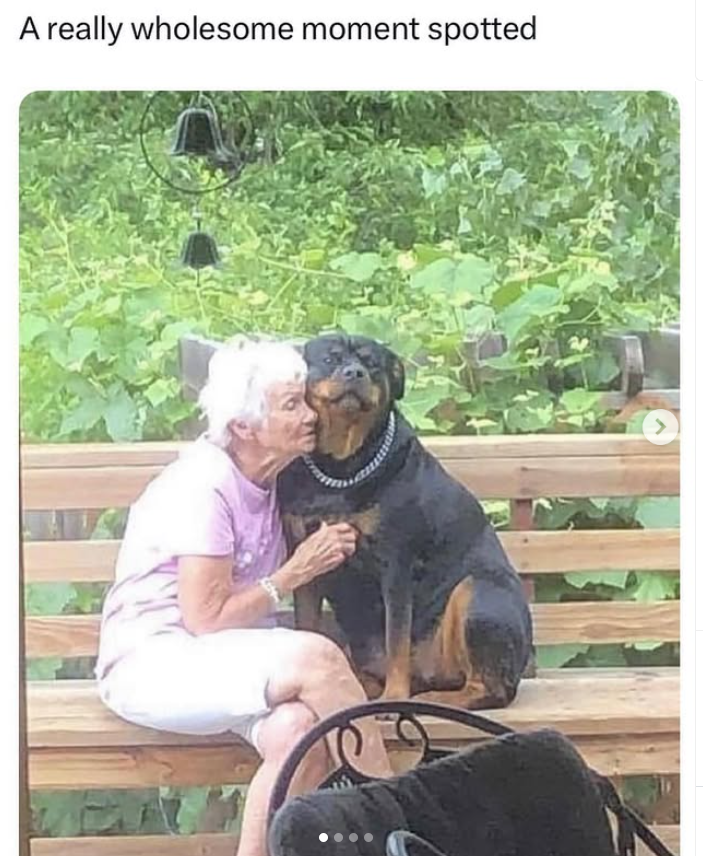 A really wholesome moment spotted >
