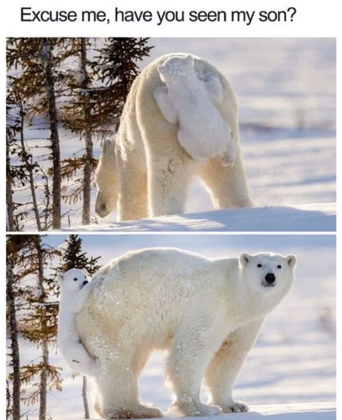 Excuse me, have you seen my son?