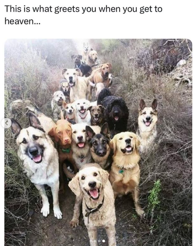 This is what greets you when you get to heaven...