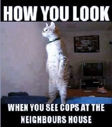 HOW YOU LOOK CLIDES WHEN YOU SEE COPS AT THE NEIGHBOURS HOUSE
