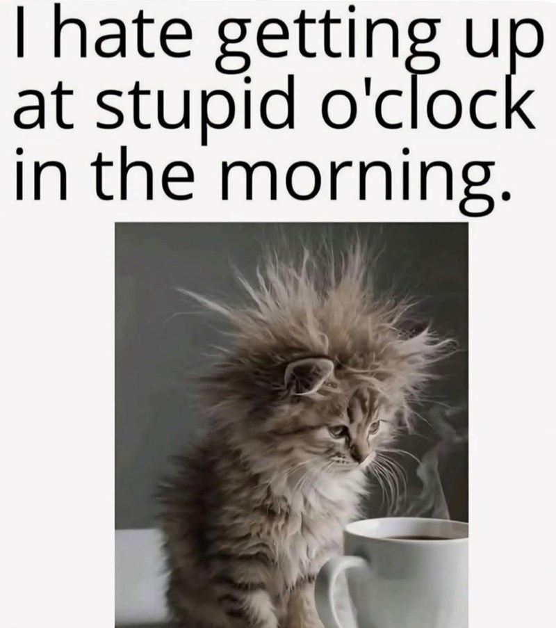 I hate getting up at stupid o'clock in the morning.