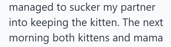 managed to sucker my partner into keeping the kitten. The next morning both kittens and mama